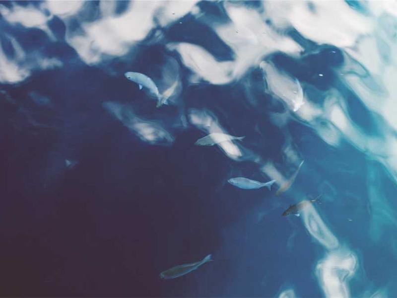 About Chittu's Creations